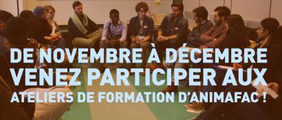 Formation Animafac