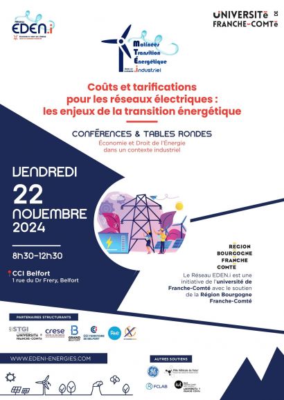Coûts et tarifications pour les réseaux électriques : les enjeux de la transition énergétique | 22 novembre 2024