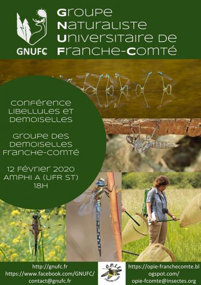 conférence libellules et demoiselles
