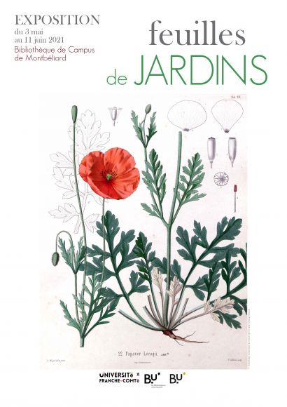 Exposition "Feuilles de jardins"