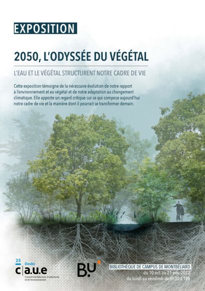 arbre et racine