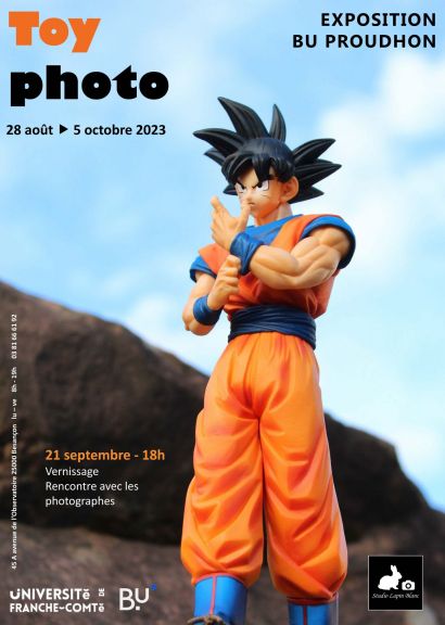 figurine de Dragonball Z