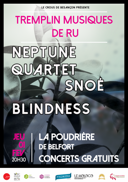 Finale régionale du Tremplin Musiques de RU