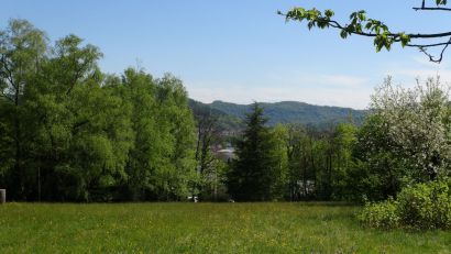 Campus de la Bouloie