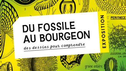 Sciences naturelles et patrimoine à l’honneur au BIOME