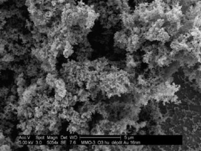 Cliché de microscopie électronique de suie