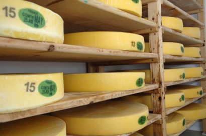 Meules de comté 