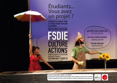 fsdie-02-2018