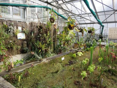 Serre du jardin botanique