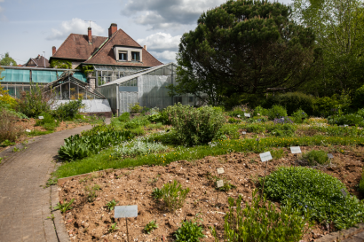 Jardin botanique de Besançon 