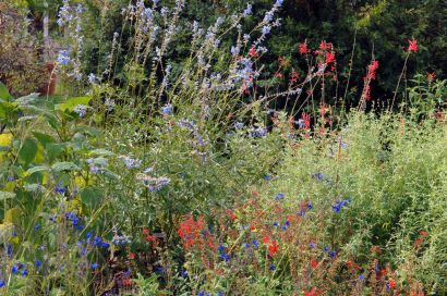 Jardin botanique