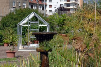 Photo du jardin botanique