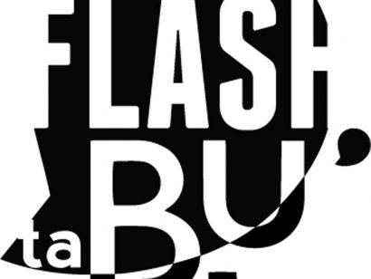 logo Flash ta Bu