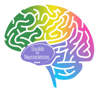 Logo de la Semaine du cerveau