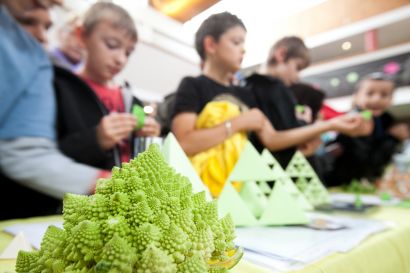 Maths et plantes