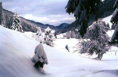 Photo de paysage montagneux enneigé