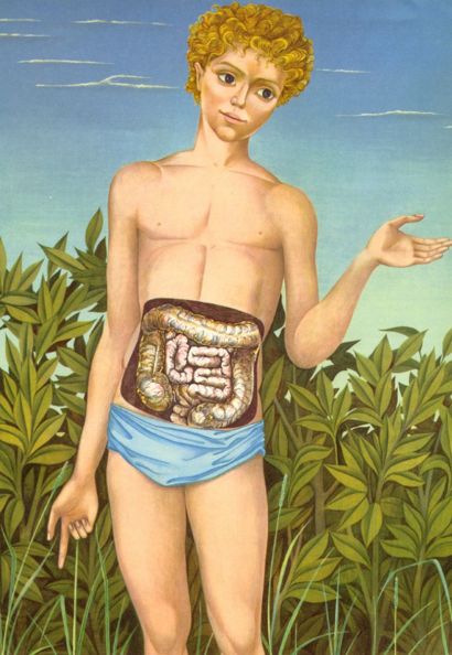 Illustration représentant un jeune homme debout avec les intestins en transparence.