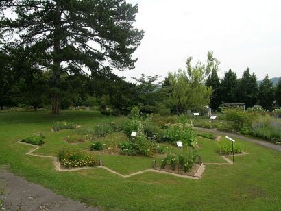 Vue du jardin botanique