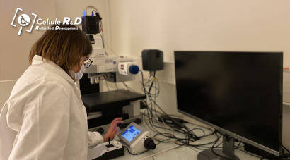 Workshop Cellule R&D