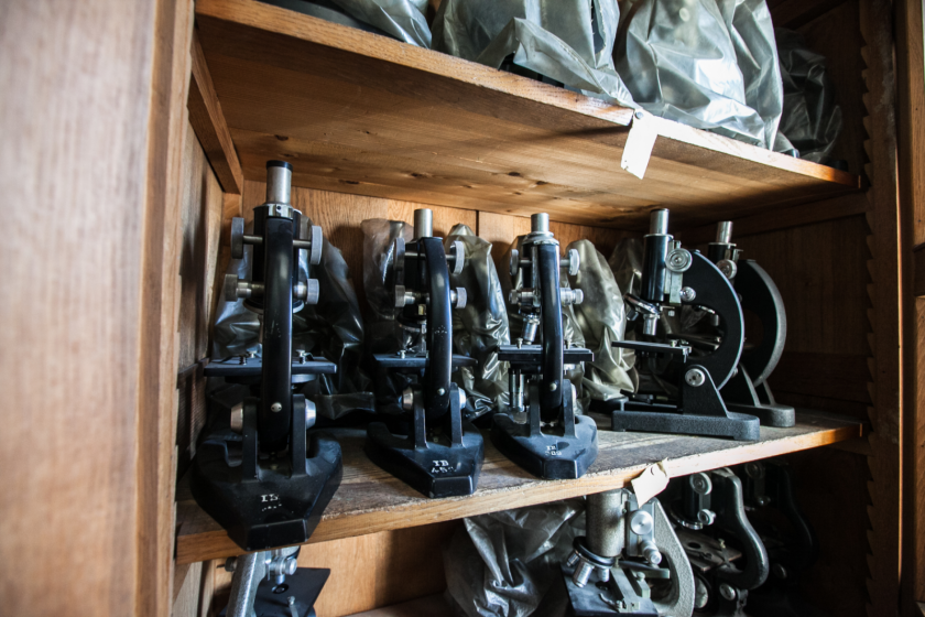 Une série de vieux microscopes dans un meuble en bois.