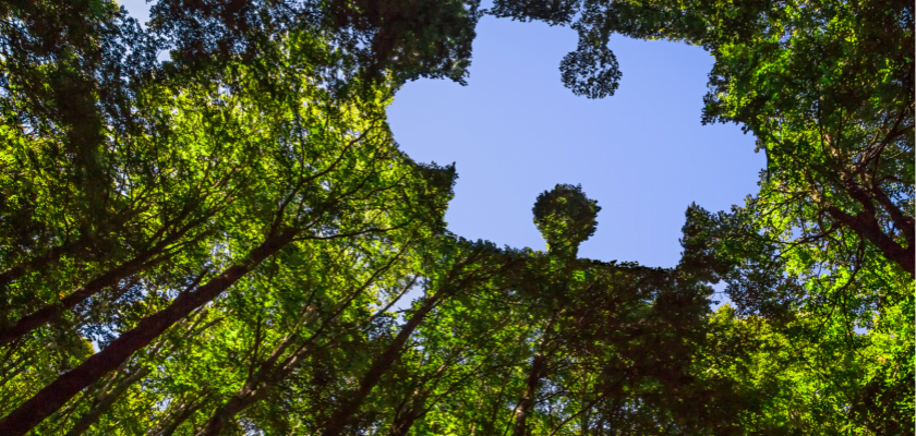 Transitions environnementales