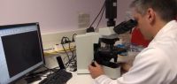 Étude de sédiments au microscope