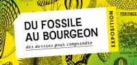 Sciences naturelles et patrimoine à l’honneur au BIOME