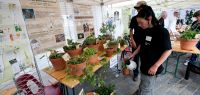 Cité des plantes