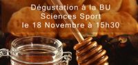 affiche dégustation de miel