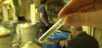 Analyse d'échantillons de sédiments dans le laboratoire souterrain de Modane