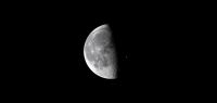 Lune