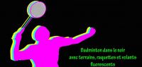 Affiche de la Nuit du blackminton
