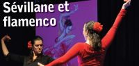 Affiche du spectacle