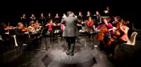 L&#039;orchestre universitaire pendant un concert