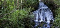 Cascade de la source d'Arcier
