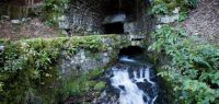 La source d'Arcier