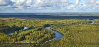 Paysage de taïga dans la plaine de Sibérie occidentale : le cours de la Vassiougan