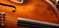 Violon