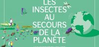 EXPOSITION LES INSECTES