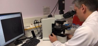Étude de sédiments au microscope