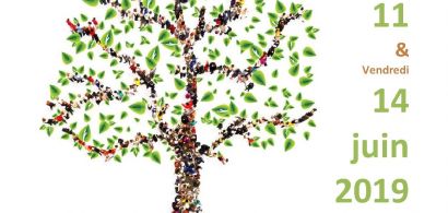 Université des familles : qualité de vie familiale et professionnelle
