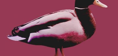 Soirée Musiques de R.U avec Wormhole / Par.SEK / Trapolin’
