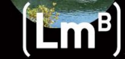 Trimestres du LMB