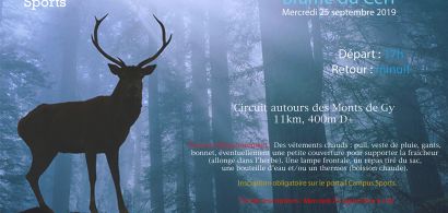 Affiche Brâme du cerf