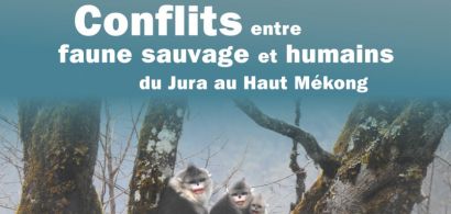 affiche conférence conflits