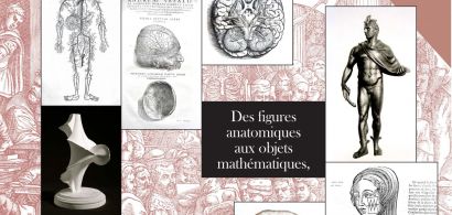 écorchés et modèles mathématiques
