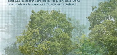 arbre et racine