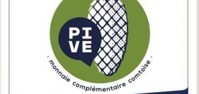 Affiche de la conférence sur la PIVE