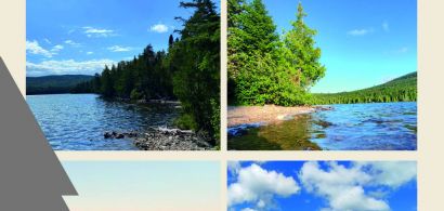 Affiche Rencontre IRP Forêts froides