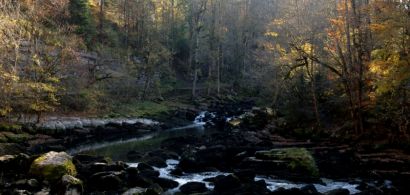 Bassin du Doubs